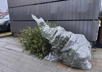 Co&nbsp;zrobić z&nbsp;choinką po&nbsp;świętach?