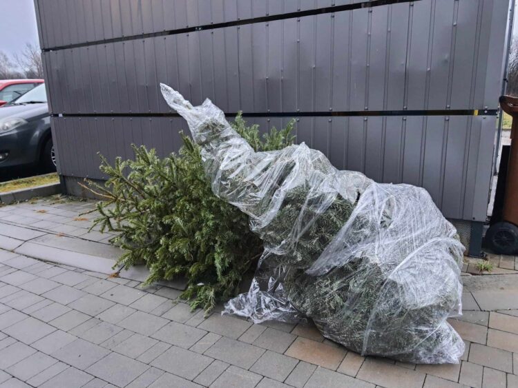 Co zrobić z choinką po świętach?