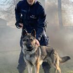 Sadiko. Nowy funkcjonariusz w jasielskiej policji 2 - Polskie Radio Rzeszów Sadiko. Nowy funkcjonariusz w jasielskiej policji - Polskie Radio Rzeszów