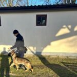 Sadiko. Nowy funkcjonariusz w jasielskiej policji 3 - Polskie Radio Rzeszów Sadiko. Nowy funkcjonariusz w jasielskiej policji - Polskie Radio Rzeszów