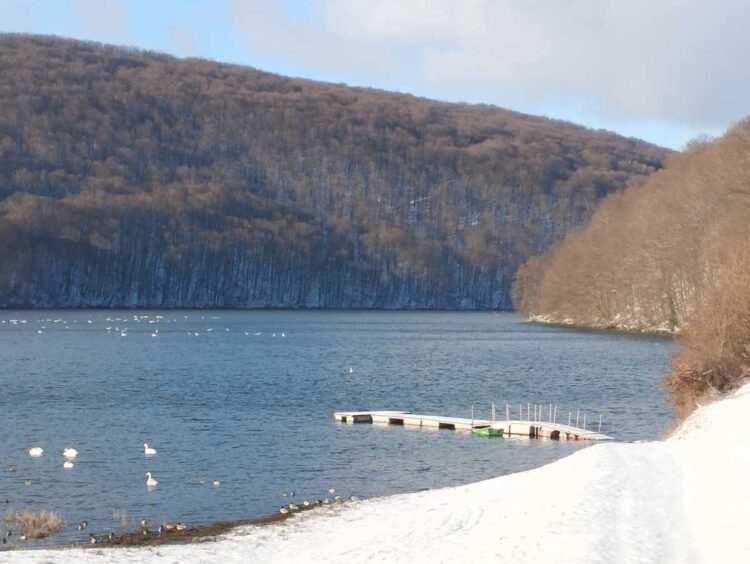 Policjanci pomogli biegaczowi, który zabłądził w Bieszczadach