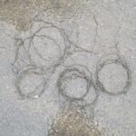 W powiecie jarosławskim zatrzymano kłusownika - Polskie Radio Rzeszów