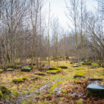 Obchody Dnia Pamięci o Ofiarach Holocaustu (zdjęcia) - Polskie Radio Rzeszów