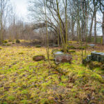 Obchody Dnia Pamięci o Ofiarach Holocaustu (zdjęcia) - Polskie Radio Rzeszów