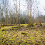 Obchody Dnia Pamięci o Ofiarach Holocaustu (zdjęcia) - Polskie Radio Rzeszów