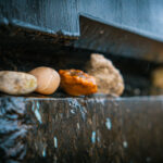 Obchody Dnia Pamięci o Ofiarach Holocaustu (zdjęcia) - Polskie Radio Rzeszów