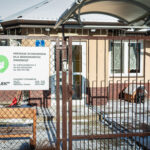 Schroniska w regionie czekają na osoby, które zechcą adoptować psa lub kota (zdjęcia) 24 - Polskie Radio Rzeszów Schroniska w regionie czekają na osoby, które zechcą adoptować psa lub kota (zdjęcia) - Polskie Radio Rzeszów