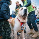 Tak gra WOŚP w Rzeszowie! Barwny korowód przeszedł ulicami miasta (zdjęcia) 70 - Polskie Radio Rzeszów Tak gra WOŚP w Rzeszowie! Barwny korowód przeszedł ulicami miasta (zdjęcia) - Polskie Radio Rzeszów