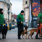 Tak gra WOŚP w Rzeszowie! Barwny korowód przeszedł ulicami miasta (zdjęcia) 71 - Polskie Radio Rzeszów Tak gra WOŚP w Rzeszowie! Barwny korowód przeszedł ulicami miasta (zdjęcia) - Polskie Radio Rzeszów