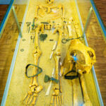 Radio Ferie z wizytą w Muzeum Narodowym Ziemi Przemyskiej (fotogaleria) - Polskie Radio Rzeszów