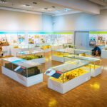 Radio Ferie z wizytą w Muzeum Narodowym Ziemi Przemyskiej (fotogaleria) - Polskie Radio Rzeszów