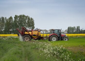 Z&nbsp;pomocy krajowej na&nbsp;konta rolników z&nbsp;naszego regionu trafiło ponad 200 milionów złotych
