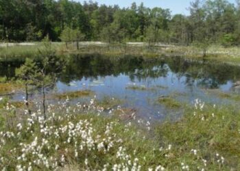 „Bagno Przecławskie” zostało udostępnione turystom