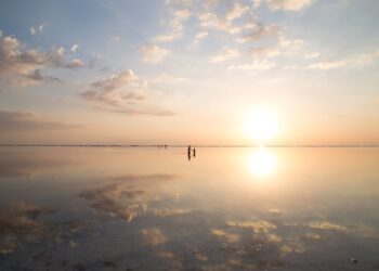 Światowa Agencja Meteorologiczna potwierdziła nowy rekord temperatury w&nbsp;Europie. To&nbsp;48,8 stopni Celsjusza