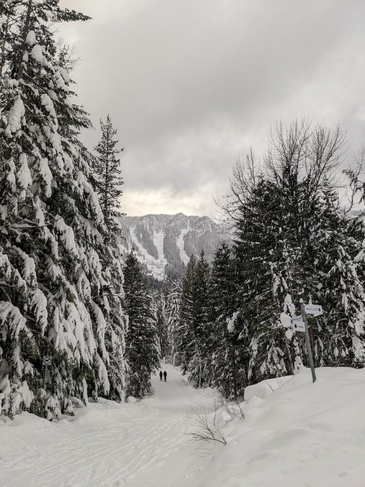 Trwają zapisy na ekstremalny, górski bieg długodystansowy Łemkowyna Winter Trail 1 - Polskie Radio Rzeszów Trwają zapisy na ekstremalny, górski bieg długodystansowy Łemkowyna Winter Trail