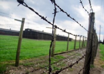 Na&nbsp;Podkarpaciu trwają obchody Dni Pamięci Ofiar Holokaustu