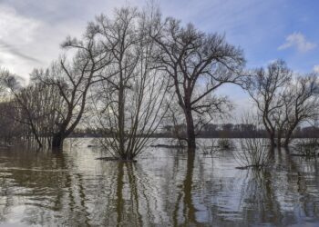 Stan ostrzegawczy na&nbsp;potoku Wołosaty