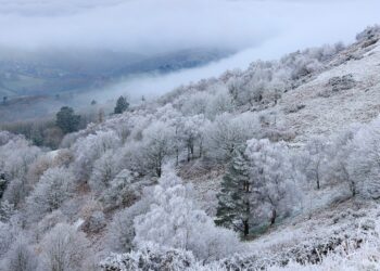 GDDKiA ostrzega kierowców przed&nbsp;opadami deszczu, mżawką i&nbsp;opadami śniegu