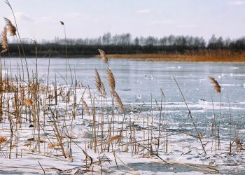 4. Podkarpacki Zlot Morsów w&nbsp;Krośnie