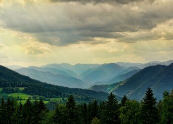 Samorządowcy są&nbsp;zaniepokojeni decyzją o&nbsp;wstrzymaniu wycinki drzew