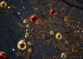 Plebiscyt na&nbsp;Świetlną Stolicę Polski