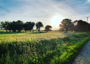 Konflikt dotyczący utworzenia nowej wsi w&nbsp;powiecie krośnieńskim