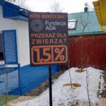 Tutaj każdy zwierzak ma swoją kanapę. Tak wygląda Psia Wioska w Przemyślu (zdjęcia) - Polskie Radio Rzeszów