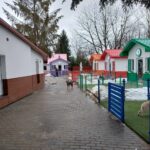 Tutaj każdy zwierzak ma swoją kanapę. Tak wygląda Psia Wioska w Przemyślu (zdjęcia) - Polskie Radio Rzeszów