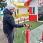 Tutaj każdy zwierzak ma swoją kanapę. Tak wygląda Psia Wioska w Przemyślu (zdjęcia) - Polskie Radio Rzeszów