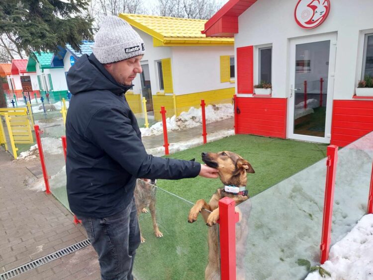 Tutaj każdy zwierzak ma swoją kanapę. Tak wygląda Psia Wioska w Przemyślu (zdjęcia)