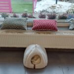 Tutaj każdy zwierzak ma swoją kanapę. Tak wygląda Psia Wioska w Przemyślu (zdjęcia) - Polskie Radio Rzeszów