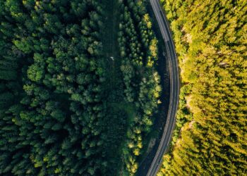 Wiceminister klimatu i&nbsp;środowiska uspokaja mieszkańców i&nbsp;firmy związane z&nbsp;gospodarką leśną na&nbsp;Podkarpaciu