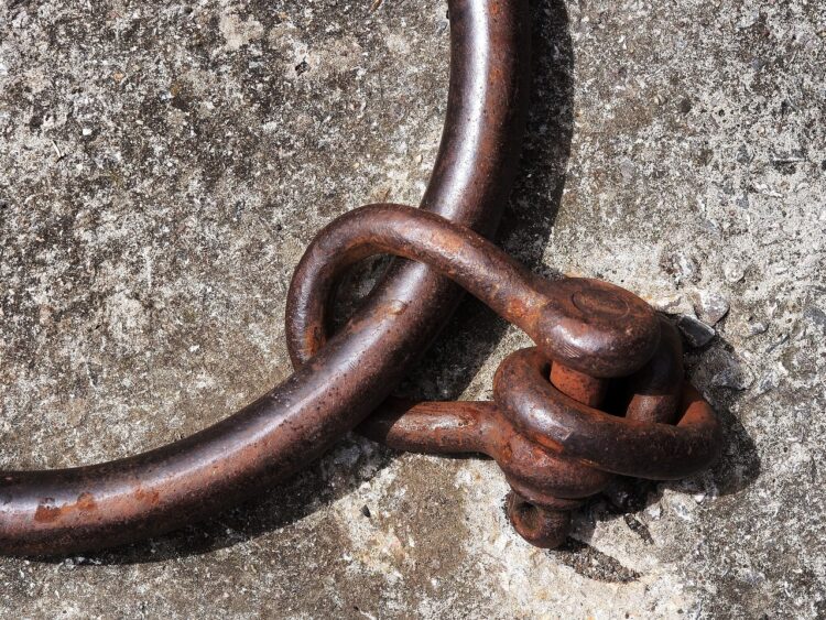 Belgia nie jest gotowa, by rozliczyć swoją kolonialną przeszłość