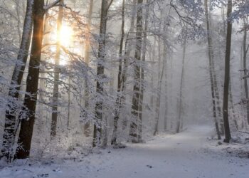 Zimowa aura w&nbsp;Bieszczadach