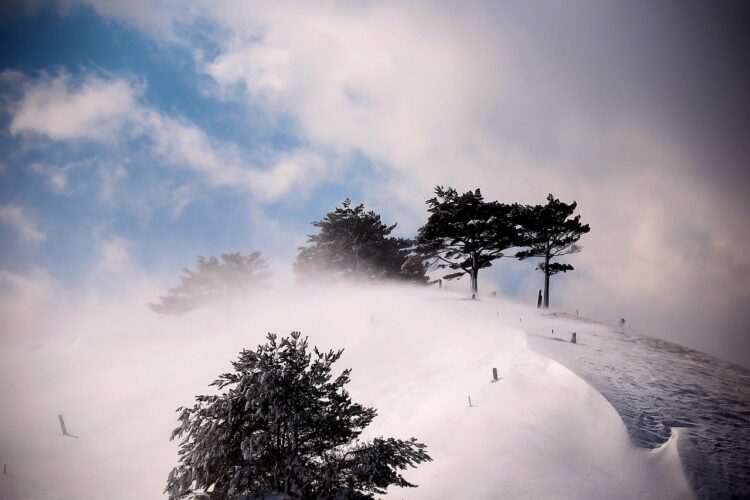 Drogowcy próbują udrożnić zasypaną drogę na trasie Folusz-Samoklęski