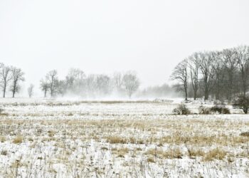 Wieje na&nbsp;Podkarpaciu. W&nbsp;porywach z&nbsp;prędkością 100 km na&nbsp;godzinę