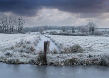 Dwie podkarpackie rzeki przekraczają stan ostrzegawczy
