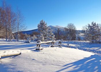 Szkolenie strażników granicznych i&nbsp;ratowników górskich w&nbsp;Bieszczadach