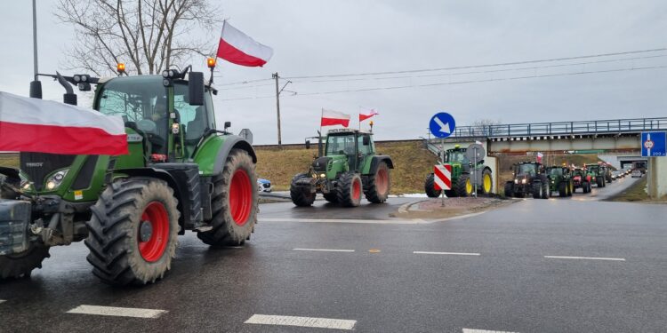 Fot. Polskie Radio Rzeszów