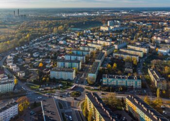 Trwają zgłoszenia kandydatów do&nbsp;konkursu „Gałązka Sosny” w&nbsp;Stalowej Woli