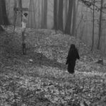 Najpiękniejsze leśne fotografie można zobaczyć w Krośnieńskiej Bibliotece Publicznej 5 - Polskie Radio Rzeszów Najpiękniejsze leśne fotografie można zobaczyć w Krośnieńskiej Bibliotece Publicznej - Polskie Radio Rzeszów