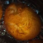 Tłusty czwartek z Kołem Gospodyń Wiejskich w Jaworniku Polskim (fotogaleria) 42 - Polskie Radio Rzeszów Tłusty czwartek z Kołem Gospodyń Wiejskich w Jaworniku Polskim (fotogaleria) - Polskie Radio Rzeszów