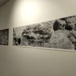 Wystawa „Przenikanie‘’ w Galerii Integracyjnej 5 - Polskie Radio Rzeszów Wystawa „Przenikanie‘’ w Galerii Integracyjnej - Polskie Radio Rzeszów