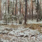 "Ferie z WOT" zakończone pętlą taktyczną 5 - Polskie Radio Rzeszów "Ferie z WOT" zakończone pętlą taktyczną - Polskie Radio Rzeszów