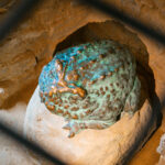 Z Radiem Ferie w Rzeszowskich Piwnicach (zdjęcia) 5 - Polskie Radio Rzeszów Z Radiem Ferie w Rzeszowskich Piwnicach (zdjęcia) - Polskie Radio Rzeszów