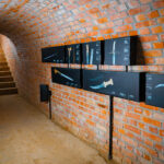 Z Radiem Ferie w Rzeszowskich Piwnicach (zdjęcia) 21 - Polskie Radio Rzeszów Z Radiem Ferie w Rzeszowskich Piwnicach (zdjęcia) - Polskie Radio Rzeszów