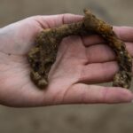 Znaleziono przedmioty z epoki żelaza podczas budowy Wisłokostrady w Rzeszowie - Polskie Radio Rzeszów