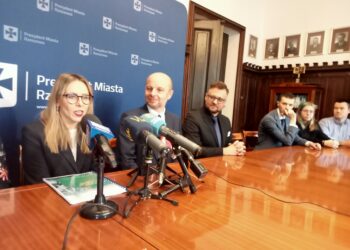 Sposoby mające pomóc stolicy Podkarpacia w&nbsp;osiągnięciu neutralności klimatycznej