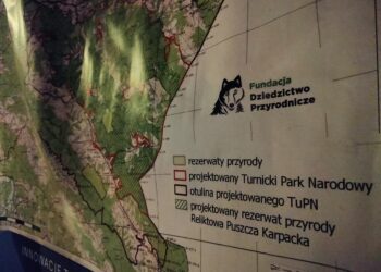 „Skarby Pogórza”, czyli o&nbsp;planowanym Turnickim Parku Narodowym