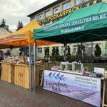 Podkarpacki Bazarek w Boguchwale - Polskie Radio Rzeszów